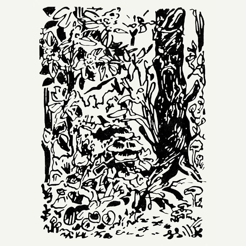 ENCHANTED FOREST