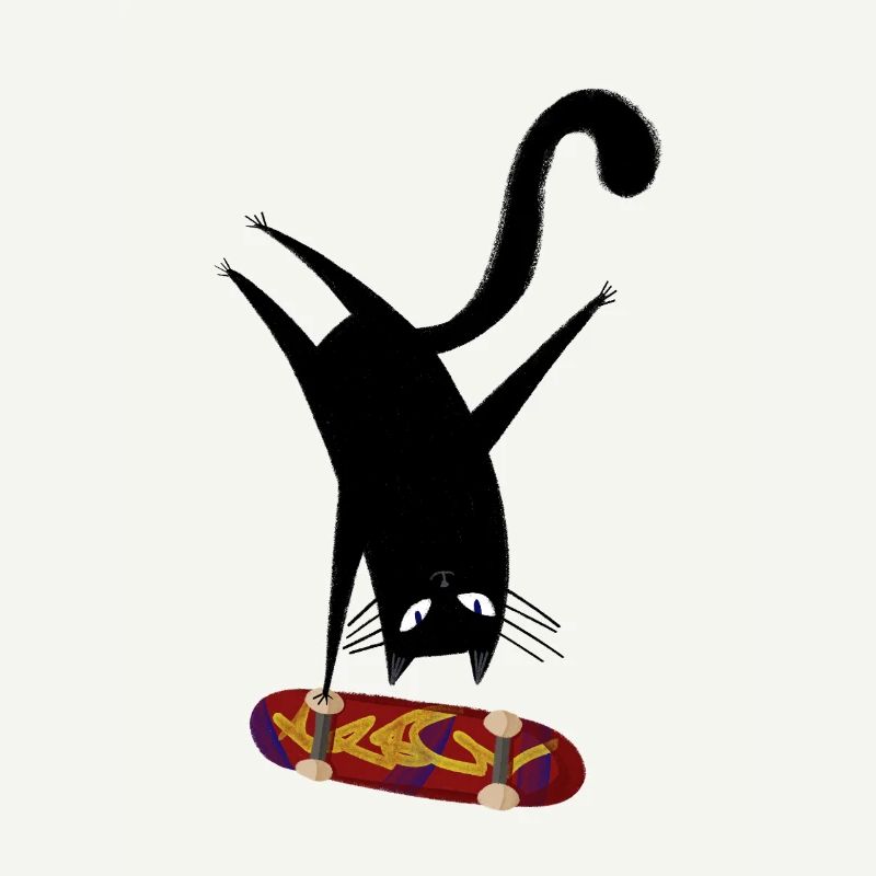 Skateboard pour chat