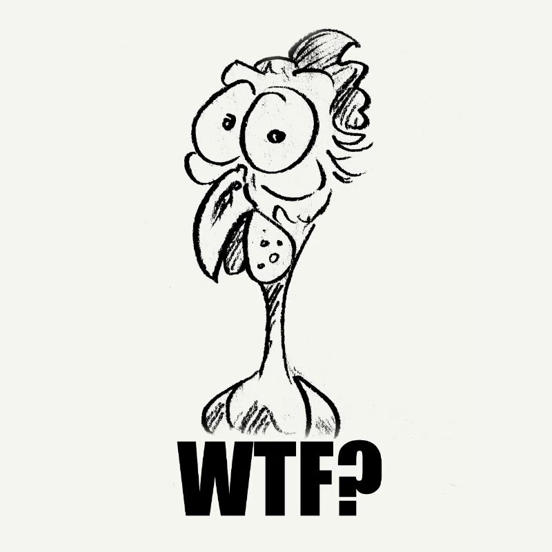 WTF? Chicken Head - Funny Comic Meme