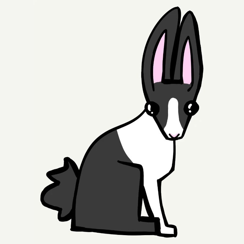 bunny
