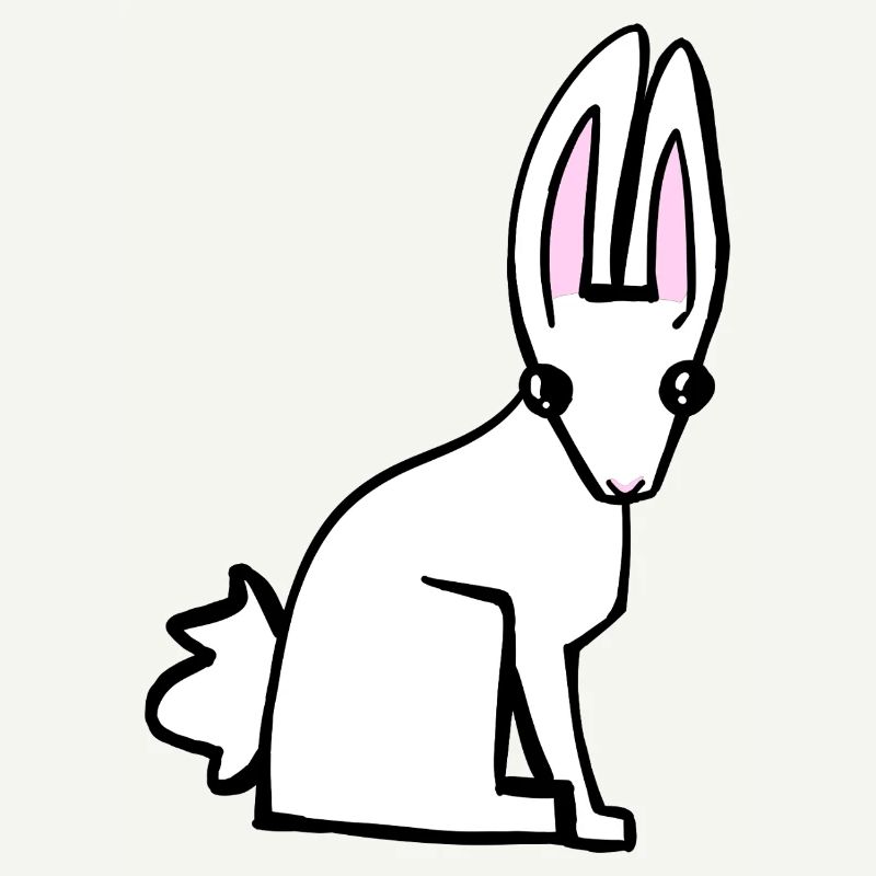 Lapin blanc