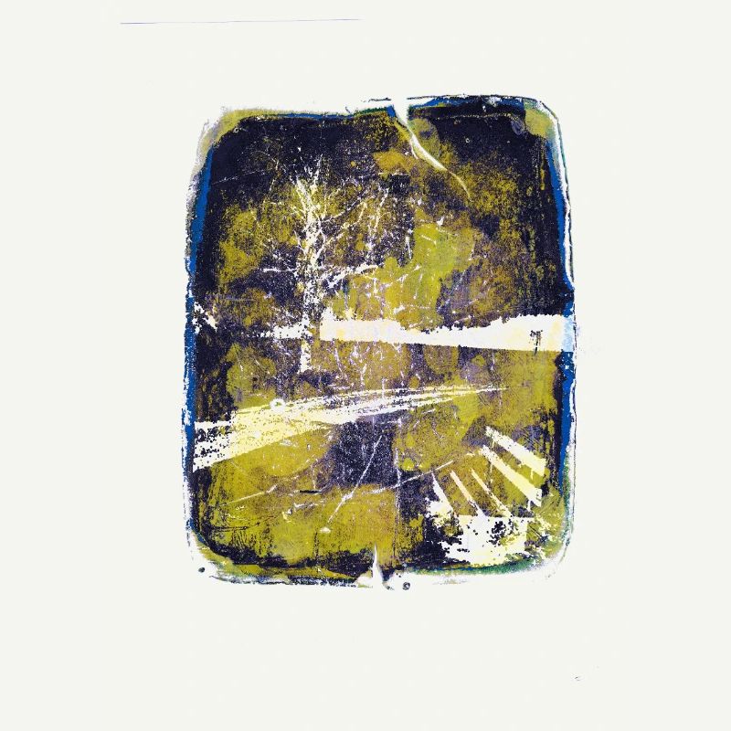 Bench with lime tree