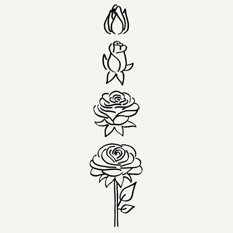 éclosion d'une fleur noire