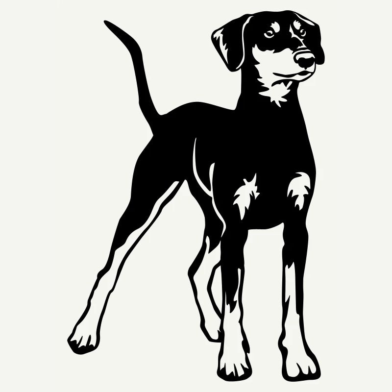 German Pinscher