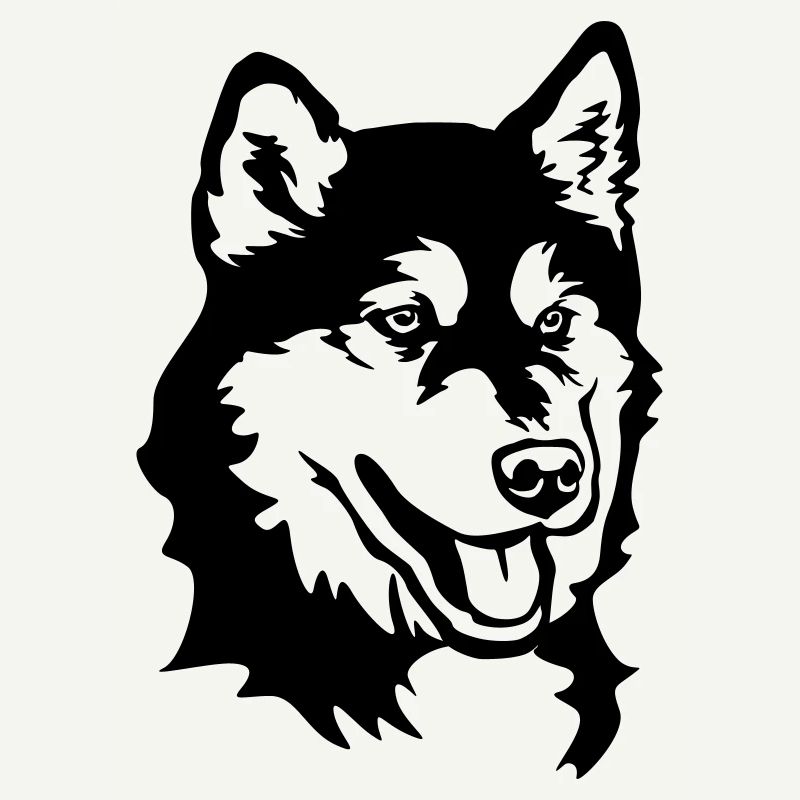 Alaskan Malamute Head