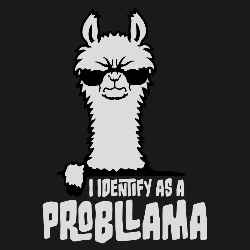 Je m’identifie comme un probllama Cool Lama Problem Spruch