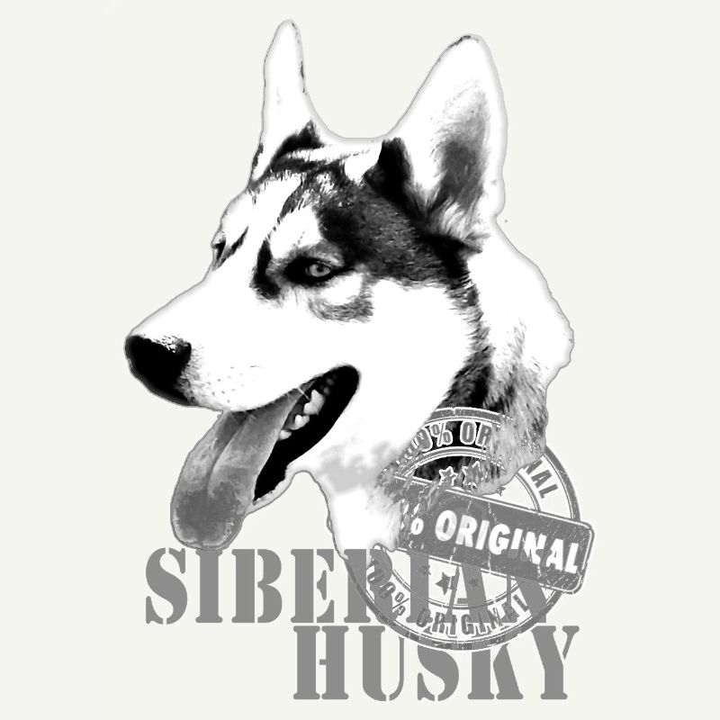 Impression monochrome Husky sibérienne 100 % originale