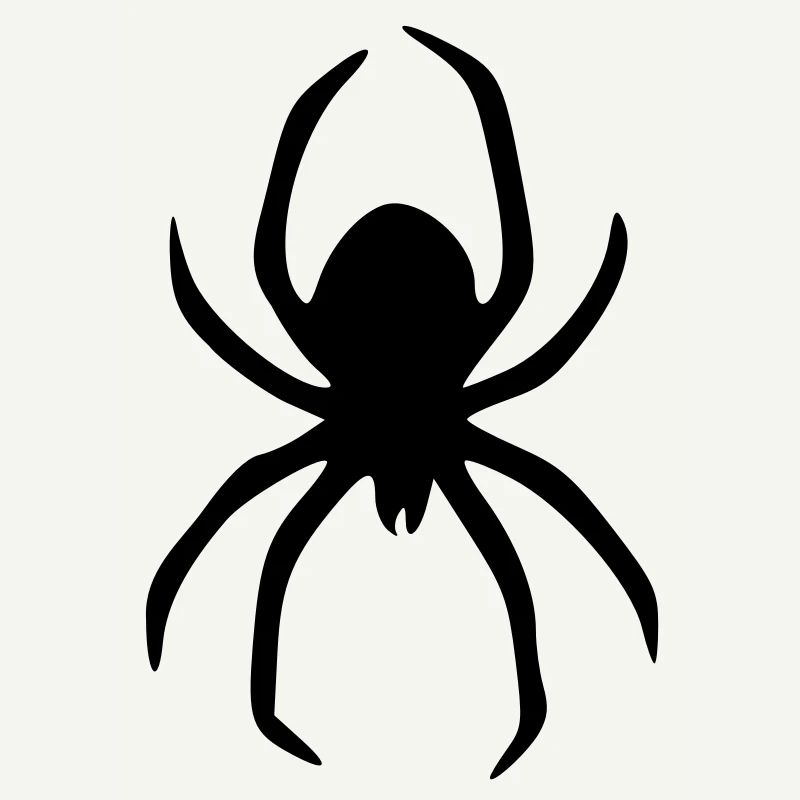 spider