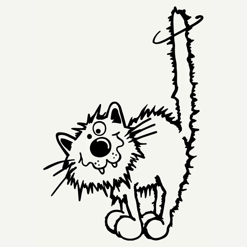 Drôle Chat