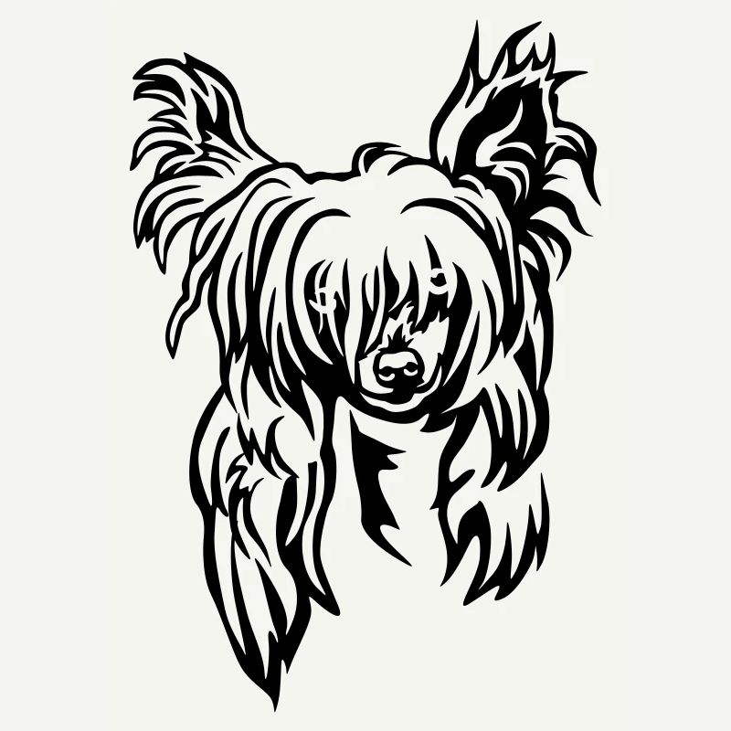 Chinese Crested Kopf