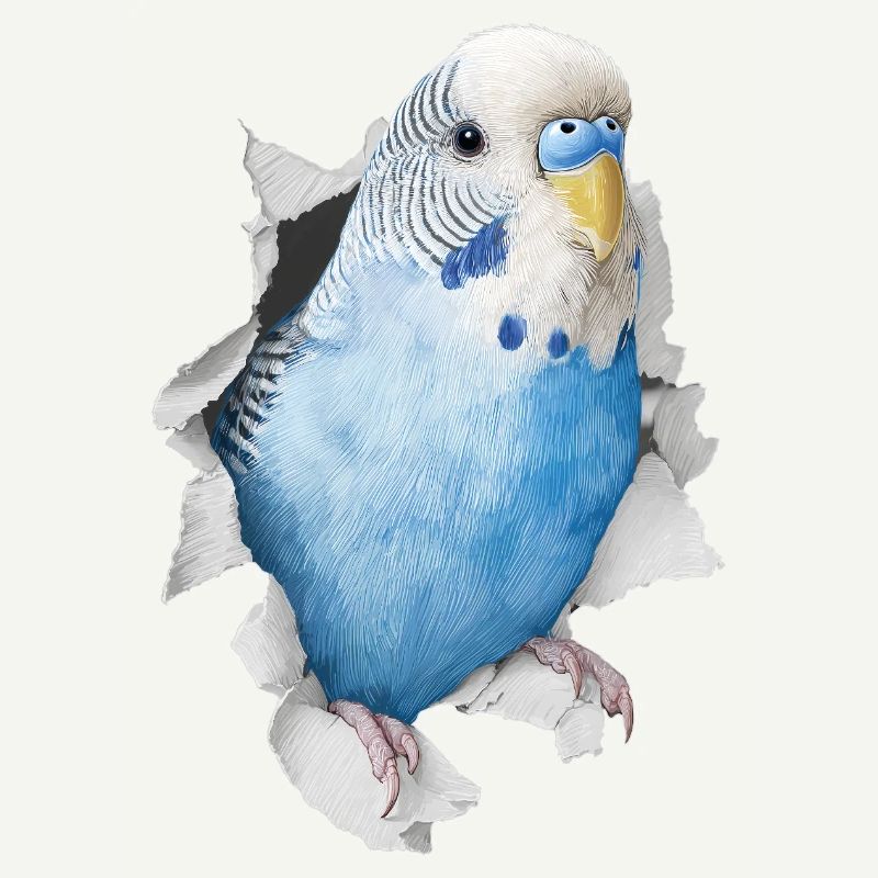 Budgerigar