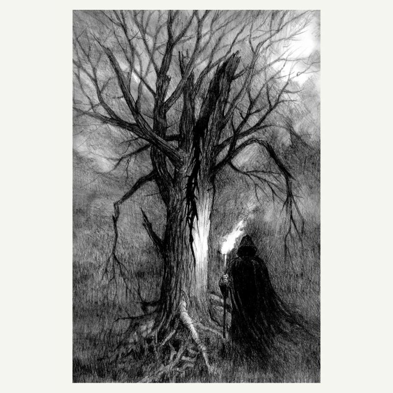 BAUM