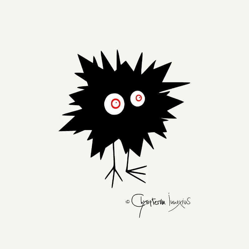 Woolly Beastie flashed © Chyropterum Innoxius