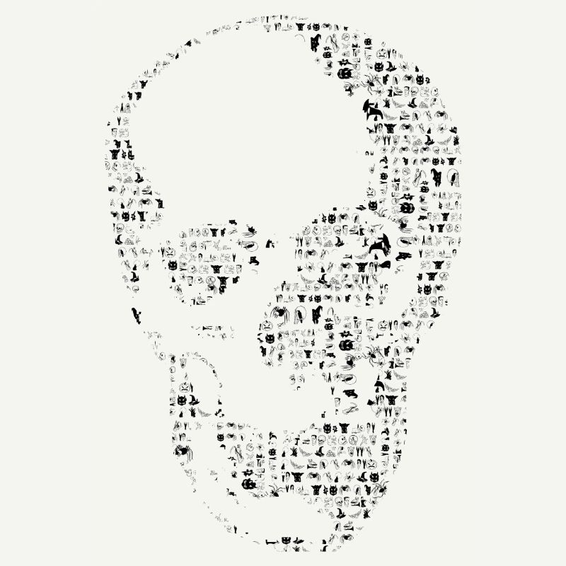 Skull