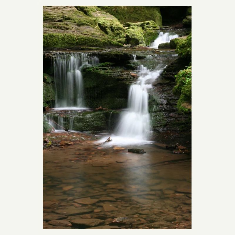 Black Forest Monbach