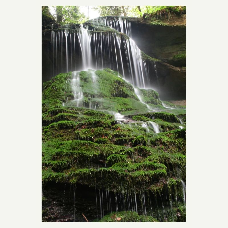 MOOSWASSERFALL HÖRSCHBACH BEI MURRHARDT