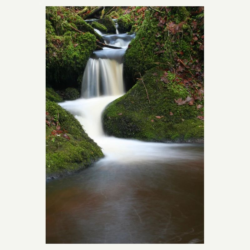 Mooswald Waterfall Motif