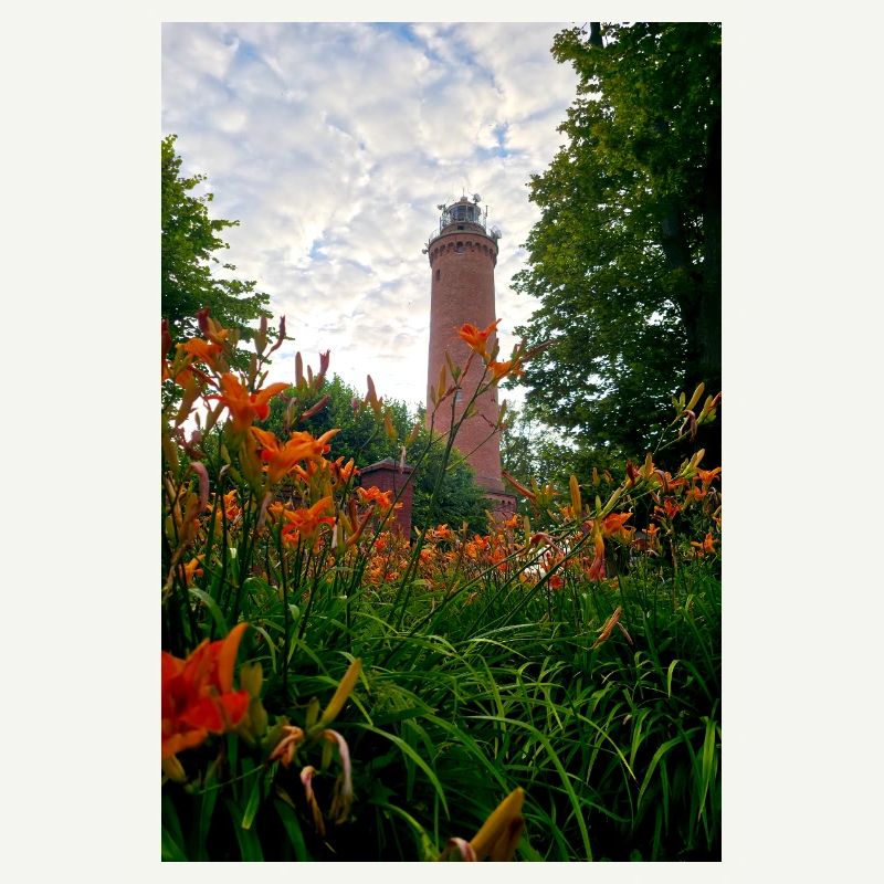 Phare de Gąski, phare, fleurs