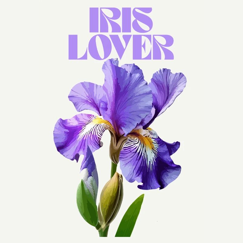 Fleur d’iris violet design botanique