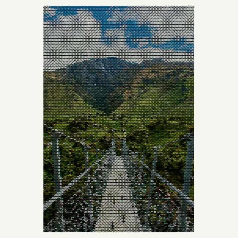 Grid path in the vineyard panorama