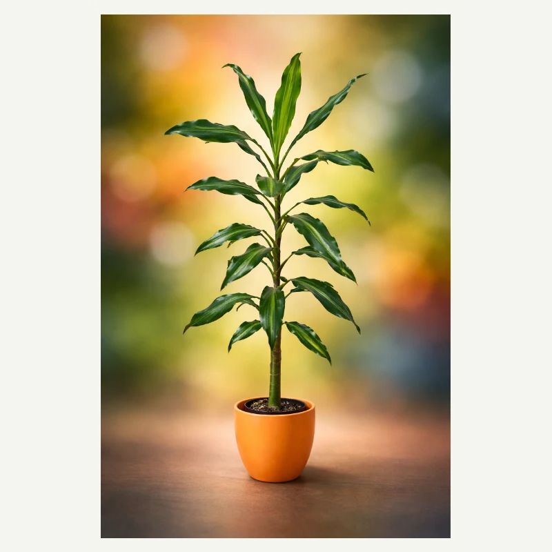 Green potted tree elegance