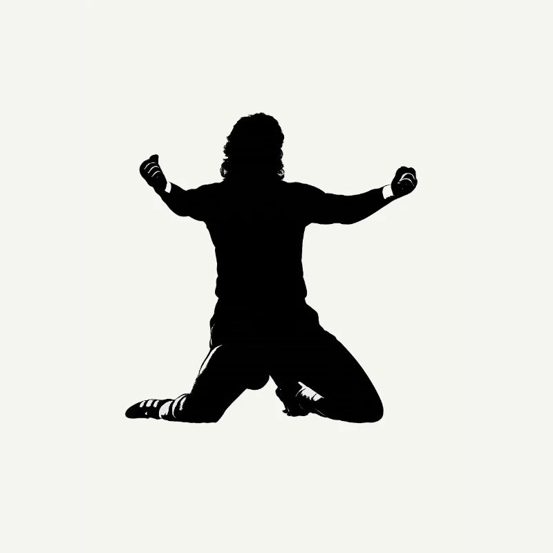 Shadow silhouette Toni cheering