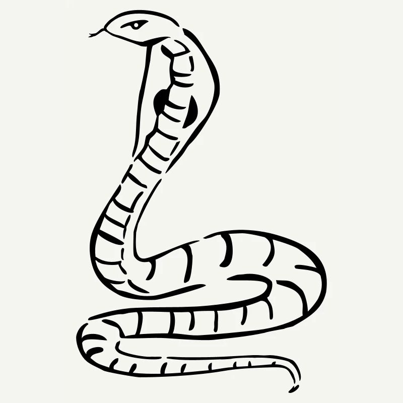 snake