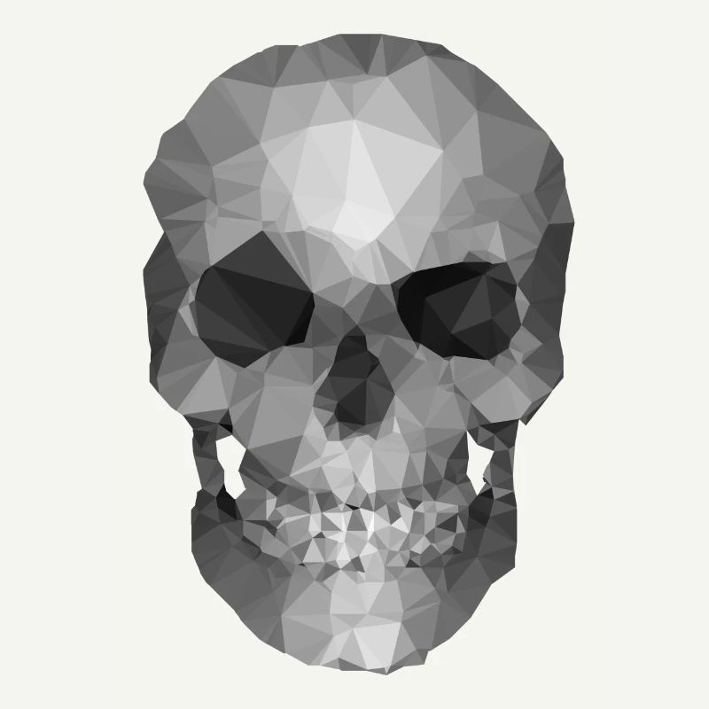 Grey Polygon Skull - Geometric Skeleton Head