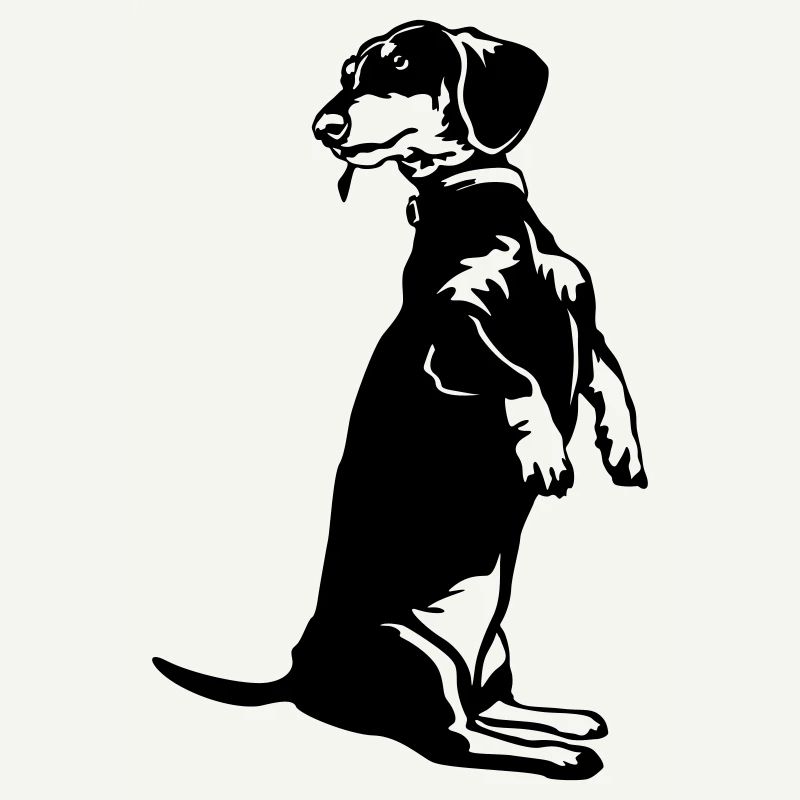 Dachshund