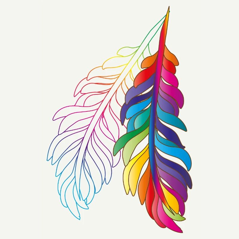 Rainbow feathers – colourful boho design