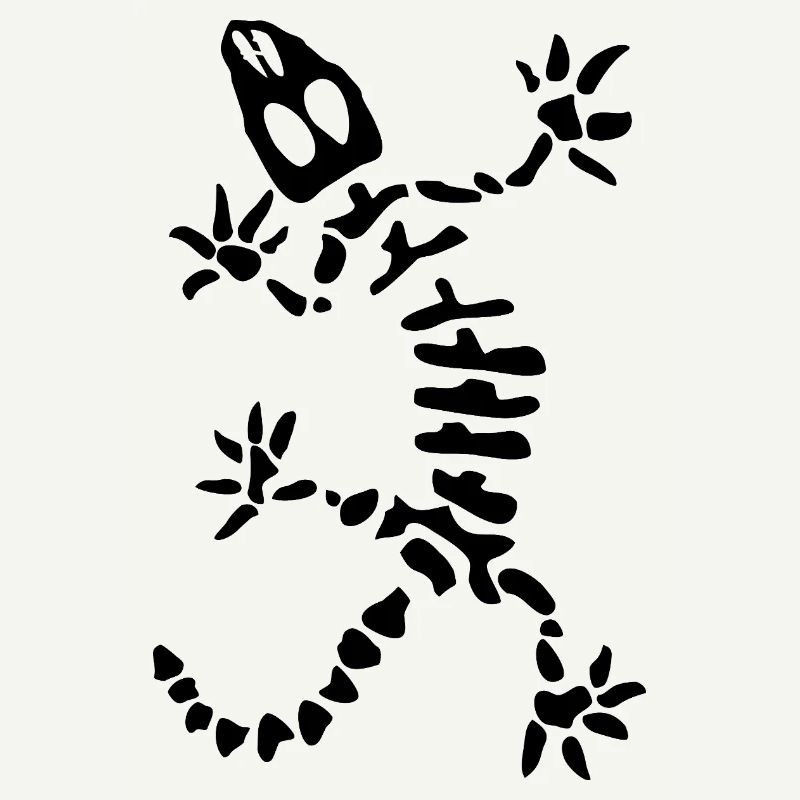Gecko Skeleton: Lizard, Reptile & Bones