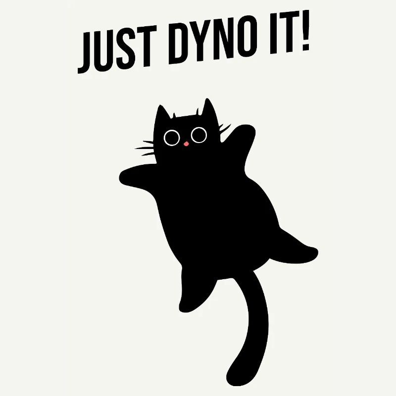 Cat climbs dynamically climbing route Dyno boulder