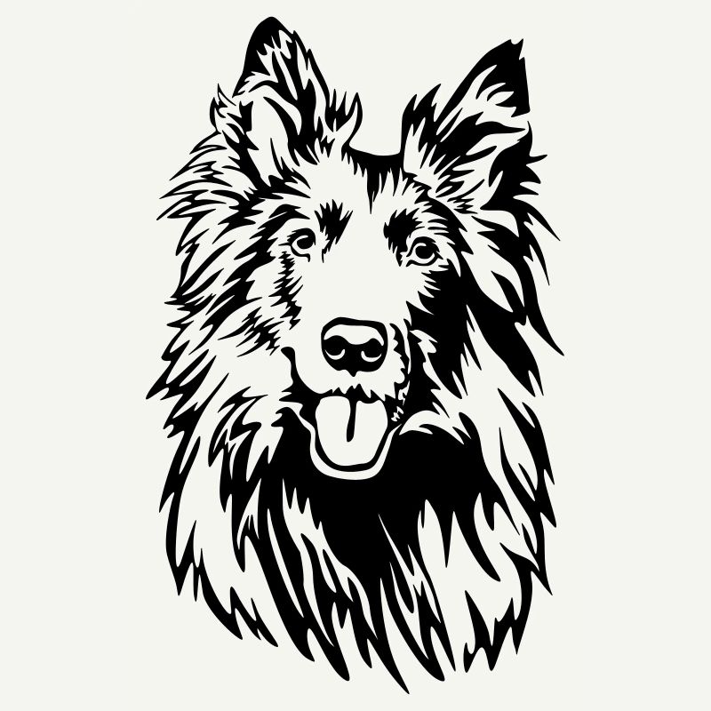 Groenendael head
