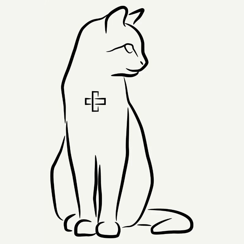 Cat First Aid