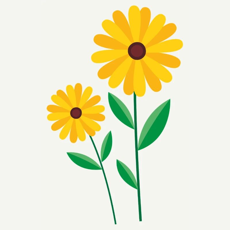 Blume