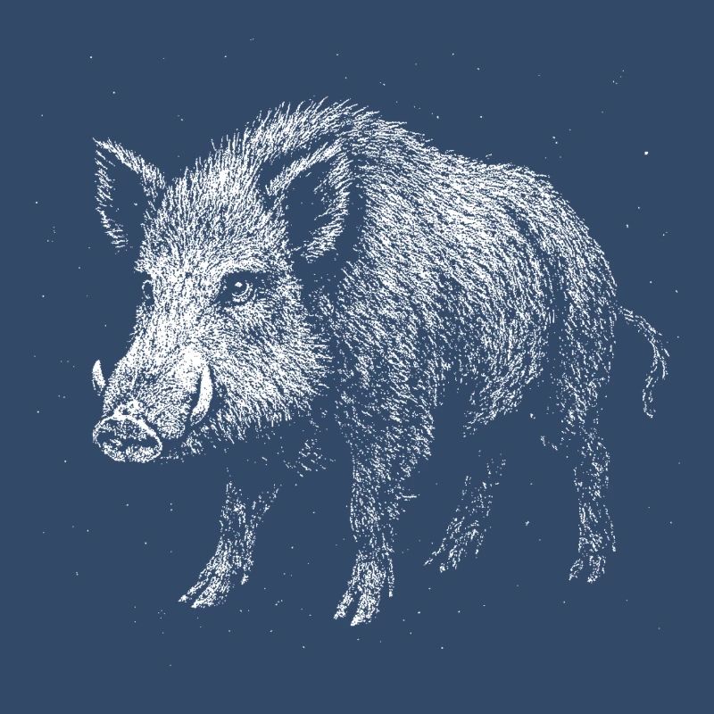 Wild boar