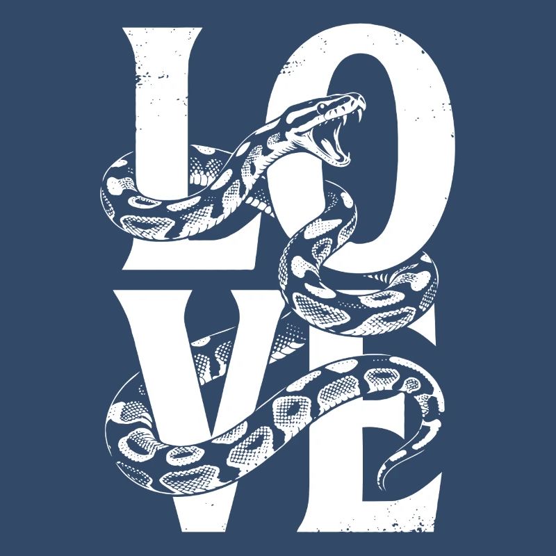 Königspython Schlangen LOVE Terrarium Python