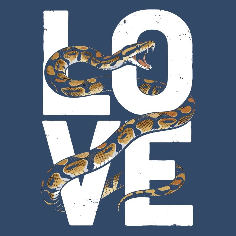 Königspython Schlangen LOVE Terrarium Python