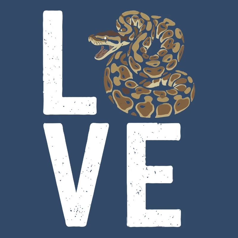 Königspython Schlangen LOVE Terrarium Python