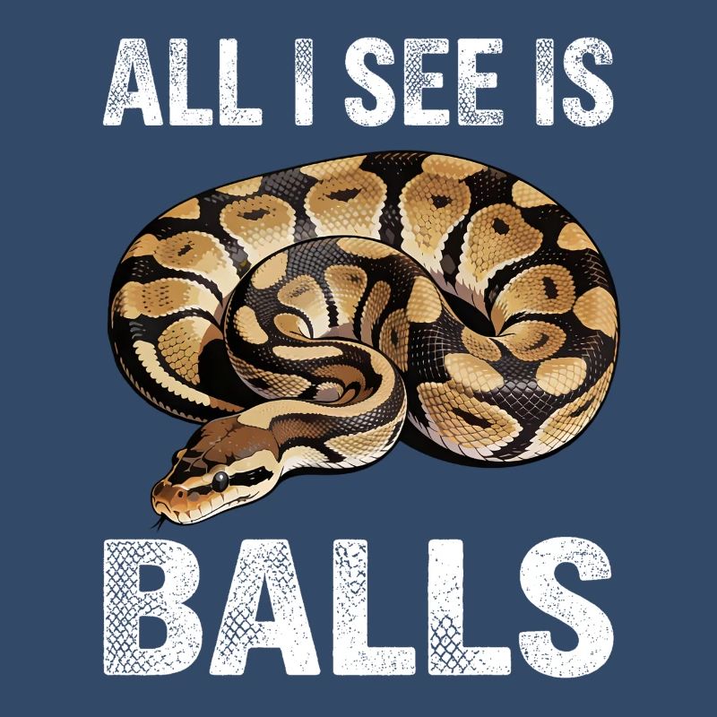 Python roi Serpents Amateurs de terrarium Python