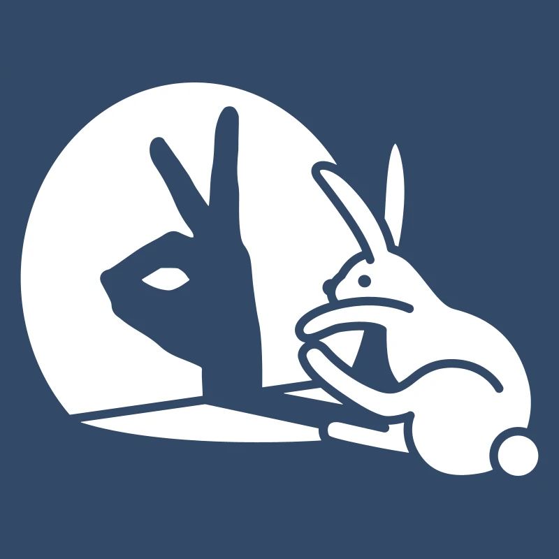 Funny Rabbit Hand Shadow Projection Rabbit