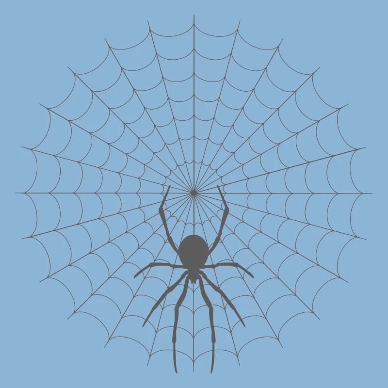 Spider Web Silhouette