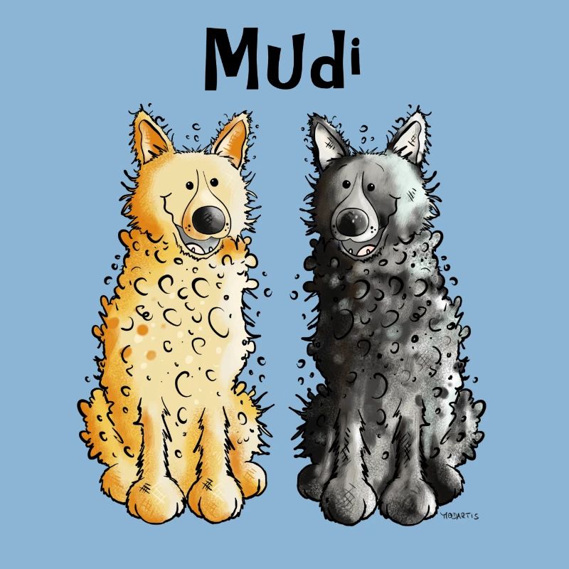 Two Mudis