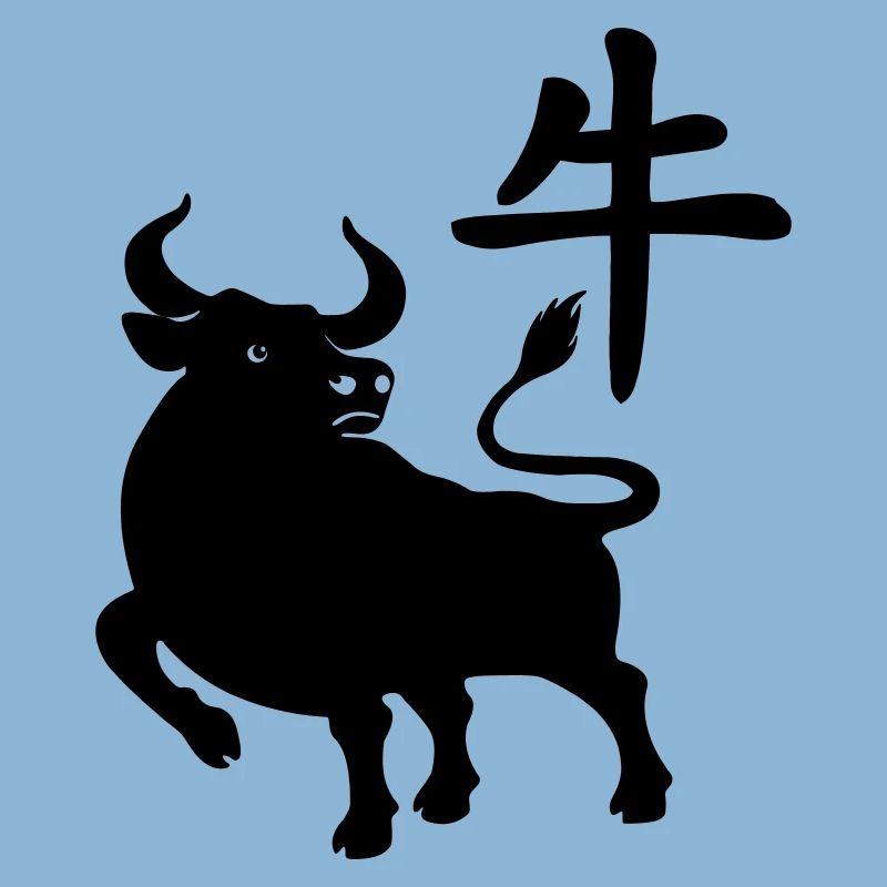 Caractère chinois OS avec image du système d’exploitation, ombre