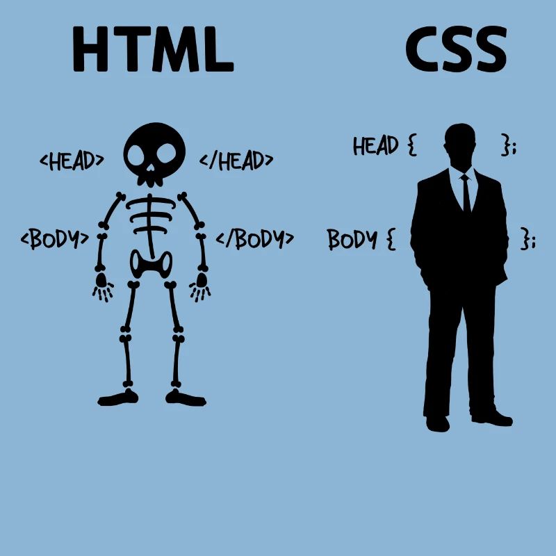Developer Programmer Coden Css Scripting Code