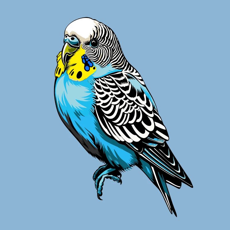 Conception vectorielle de perruche colorée