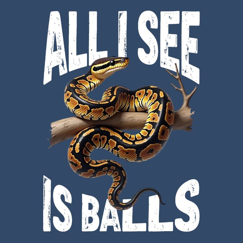 Python roi Serpents Amateurs de terrarium Python