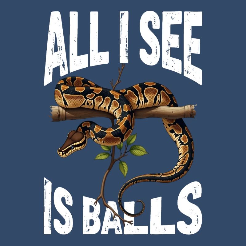 Python roi Serpents Amateurs de terrarium Python