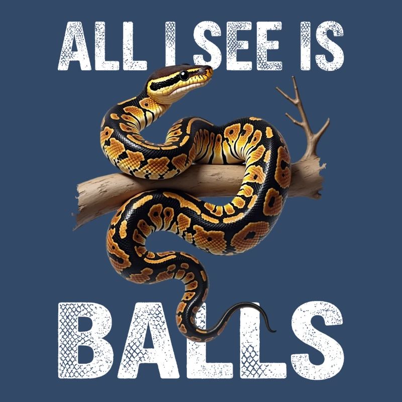 King Python Snakes Lover Terrarium Python