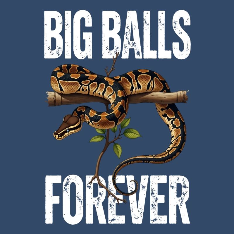 Python roi Serpents Amateurs de terrarium Python